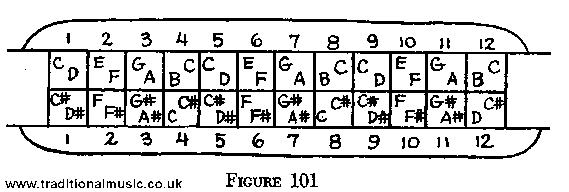 twelve hole chromatic harmonica